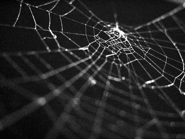 web