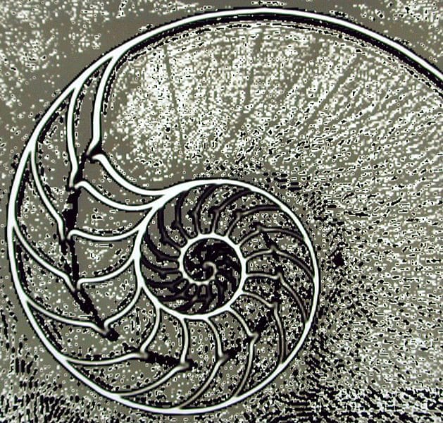 © Dr Michel Royon / Wikimedia Commons