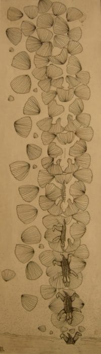 Progressions drawing