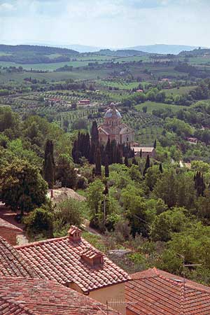 Landscape with trees