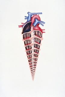 Cordiform Permutation