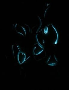 Rabbit: Stage 2 (room lights off)