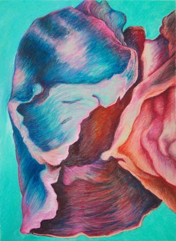 Smoker's Lung. Shriveled blue and purpleish lung on light blue background.