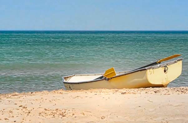 cover for Fiction section