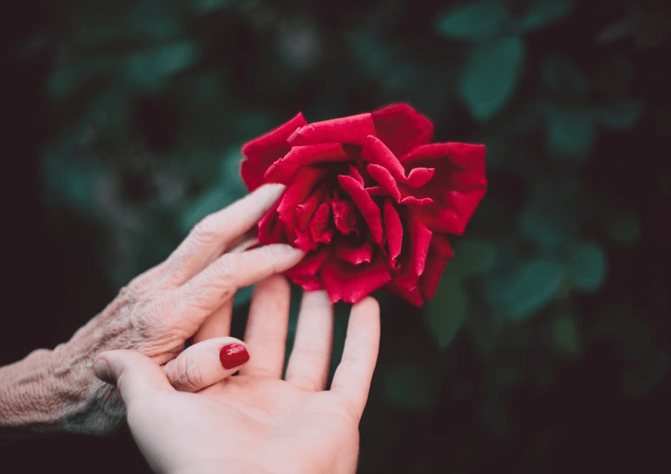 The bonds made at the end of life.