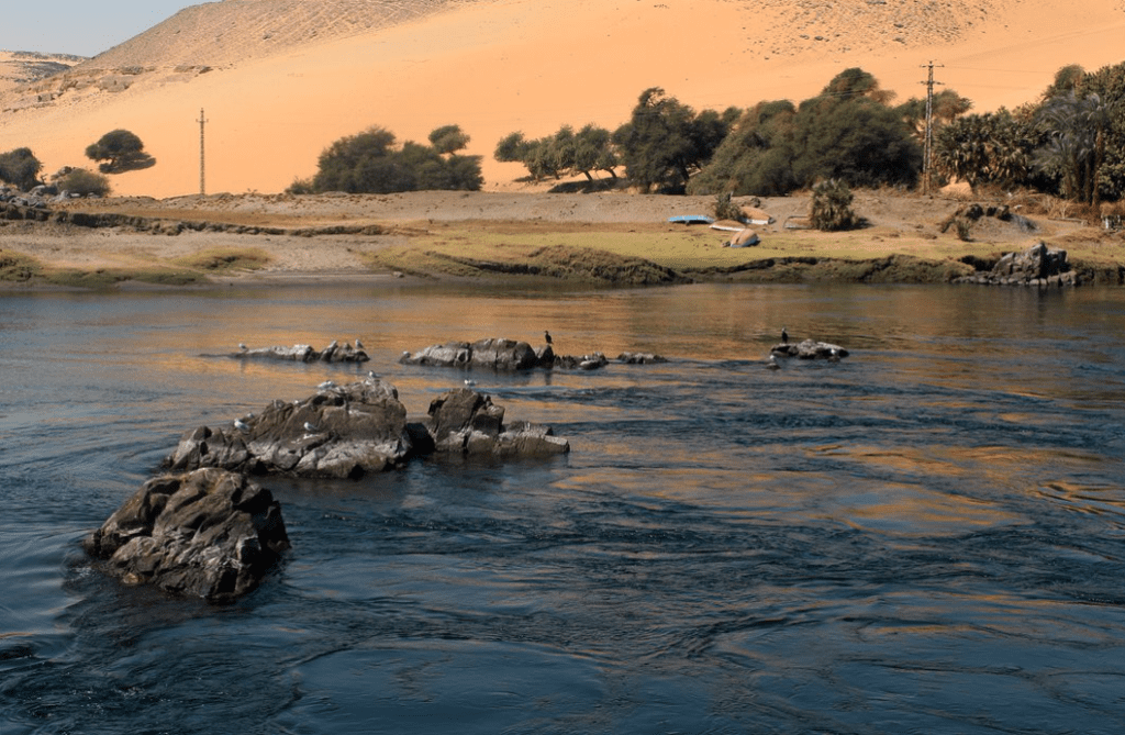 Nile River where patient contracted Schistosomiasis