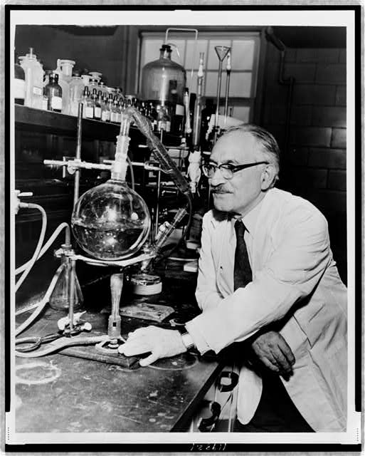 Dr. Selman Waksman, half-length portrait, facing left at work in the laboratory