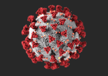 cover for covid-19 section